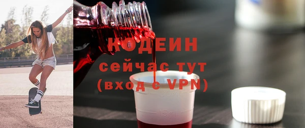 apvp Гусиноозёрск