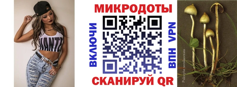 закладка  Красновишерск  Галлюциногенные грибы мицелий 